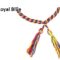 What Do Colored Cords Mean at Graduation? Honor Cords Explained