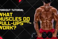 What Do Pull-Ups Target? Muscle Groups and Training Benefits