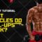 What Do Pull-Ups Target? Muscle Groups and Training Benefits
