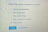 What Do DNA Proteins and Fats Have in Common? Biology Basics Explained