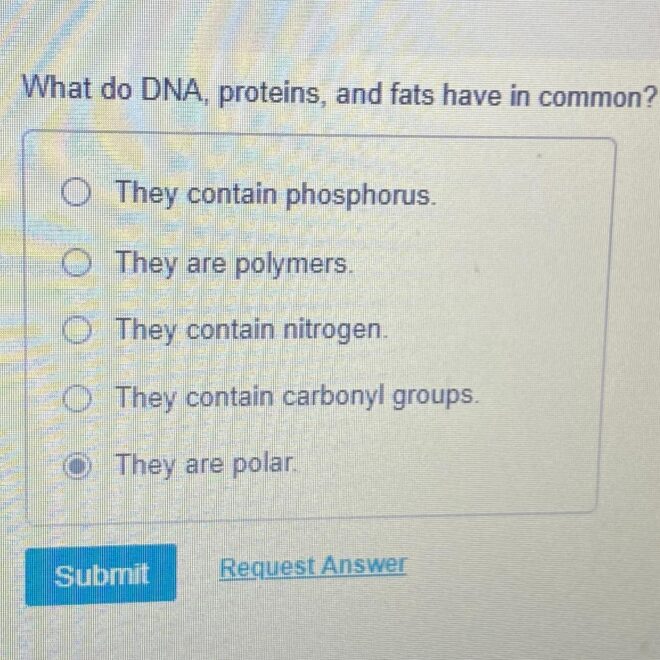 What Do DNA Proteins and Fats Have in Common? Biology Basics Explained