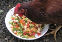 What Do Chickens Like to Eat? Healthy Treats and Feeding Guide