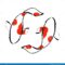 What Do Koi Fish Represent? Prosperity Strength and Good Fortune