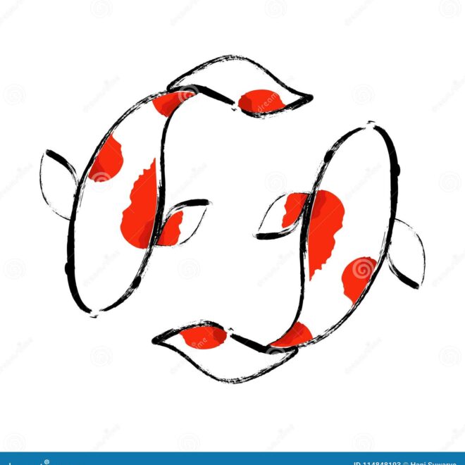 What Do Koi Fish Represent? Prosperity Strength and Good Fortune