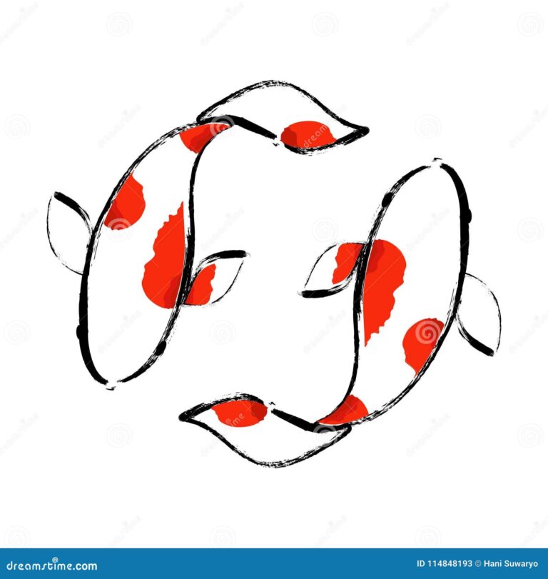 What Do Koi Fish Represent? Prosperity Strength and Good Fortune
