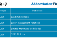 What Does LMR Mean in Text? Chat Abbreviation Explained Simply