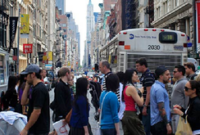 NYC Dept of Buildings Violations Search: How to Check Property Records