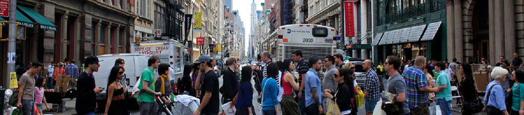 NYC Dept of Buildings Violations Search: How to Check Property Records