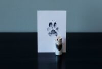 What Do I Do with My Dead Dog? Compassionate Next Steps Explained