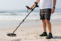 What Do Metal Detectors Detect? Hidden Treasures and Limitations Explained