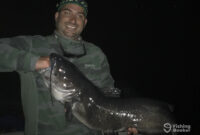 What Do Catfish Go For? Best Bait Seasons and Fishing Tips