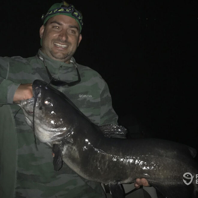 What Do Catfish Go For? Best Bait Seasons and Fishing Tips