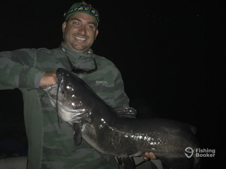 What Do Catfish Go For? Best Bait Seasons and Fishing Tips