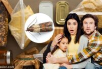 What Do Pantry Moths Eat? Pantry Pests and Prevention Tips