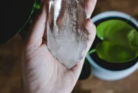 What Do Jellyfish Symbolize? Flow Mystery and Spiritual Meaning