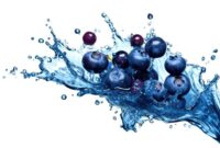 What Do Blueberries Taste Like? Sweetness Tartness and Texture Guide