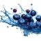 What Do Blueberries Taste Like? Sweetness Tartness and Texture Guide