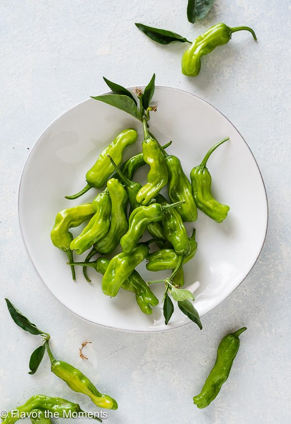 What Do Shishito Peppers Taste Like? Mild Heat and Flavor Profile