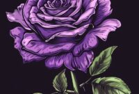 What Do Purple Roses Symbolize? Royalty Mystery and Romance