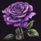 What Do Purple Roses Symbolize? Royalty Mystery and Romance