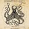 What Do Octopuses Symbolize? Intelligence Mystery and Adaptation