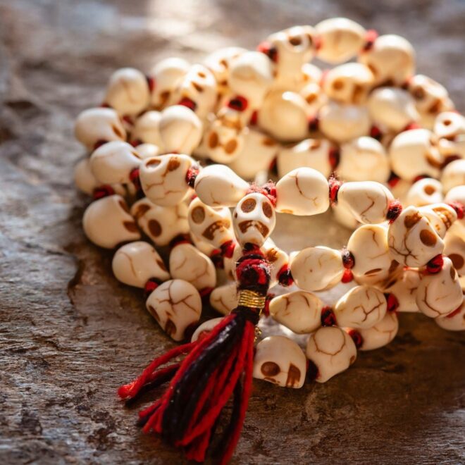 What Do Skulls Represent? Power Mortality and Cultural Symbolism