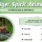 What Do Tigers Represent? Power Courage and Spiritual Meaning