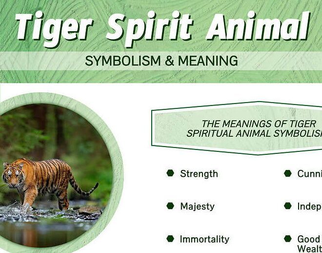 What Do Tigers Represent? Power Courage and Spiritual Meaning