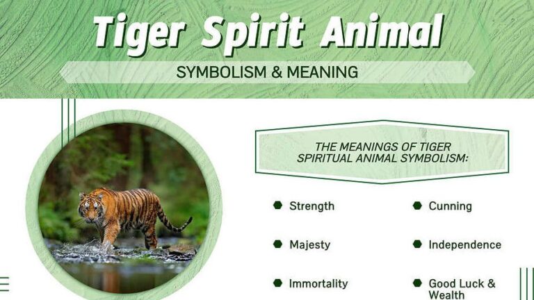 What Do Tigers Represent? Power Courage and Spiritual Meaning