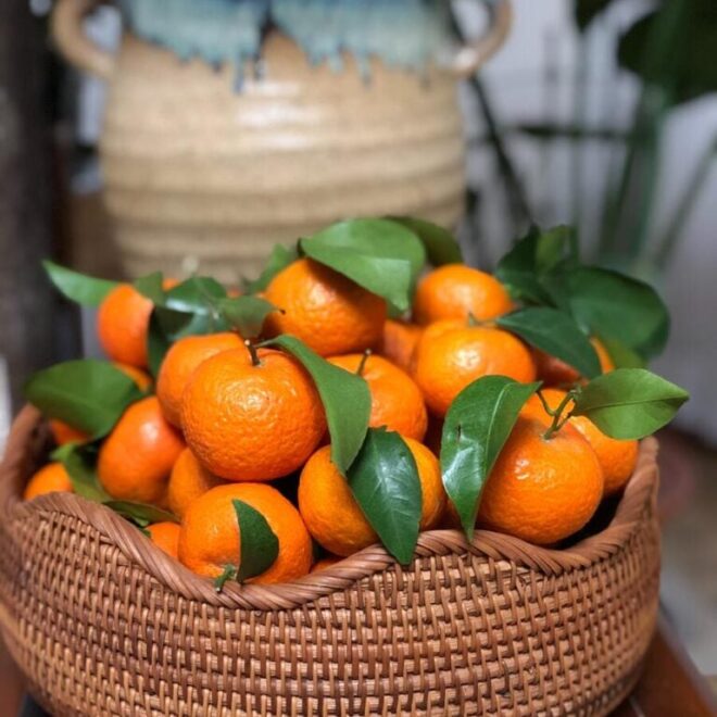 What Do Oranges Represent? Energy Abundance and Joy Meaning