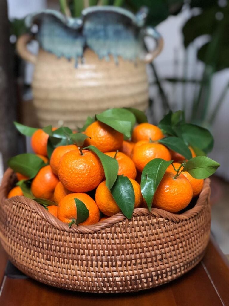 What Do Oranges Represent? Energy Abundance and Joy Meaning