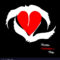 What Do Swans Symbolise? Love Loyalty and Transformation Meaning
