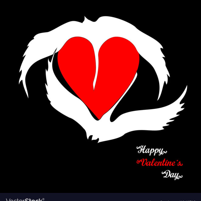 What Do Swans Symbolise? Love Loyalty and Transformation Meaning