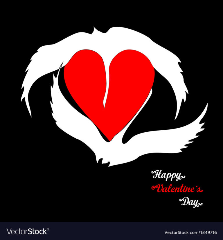 What Do Swans Symbolise? Love Loyalty and Transformation Meaning