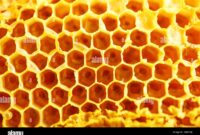What Do Honeycombs Taste Like? Sweetness Texture and Flavor Notes