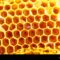 What Do Honeycombs Taste Like? Sweetness Texture and Flavor Notes