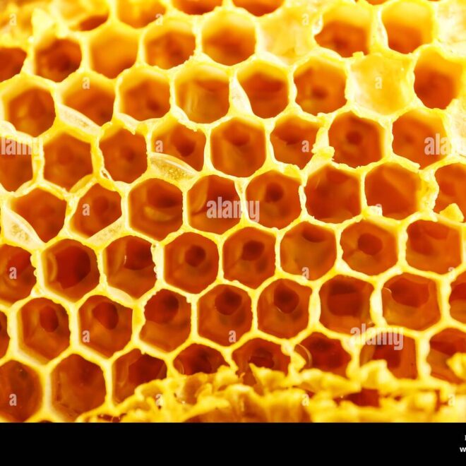 What Do Honeycombs Taste Like? Sweetness Texture and Flavor Notes