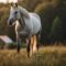 What Do Horses Symbolise? Strength Freedom and Spiritual Power