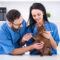 What Do Vet Techs Do? Daily Duties Salary and Career Path
