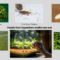What Do Water Snails Eat? Aquarium Cleanup Crew Feeding Guide