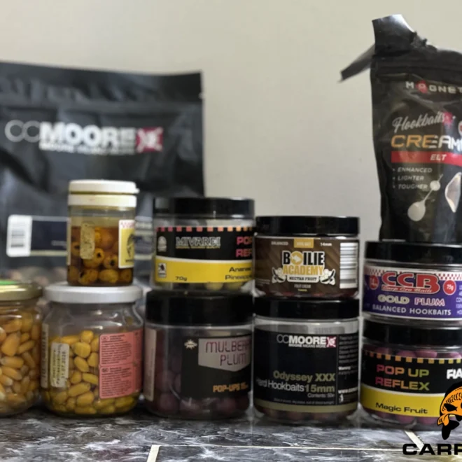 What Do Carp Eat? Natural Diets and Fishing Bait Tips