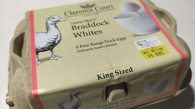 What Do Duck Eggs Taste Like? Flavor Differences and Cooking Uses