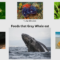 What Do Gray Whales Eat? Ocean Feeding Secrets Explained
