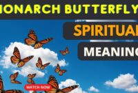 What Do Monarch Butterflies Represent? Transformation and Spiritual Meaning