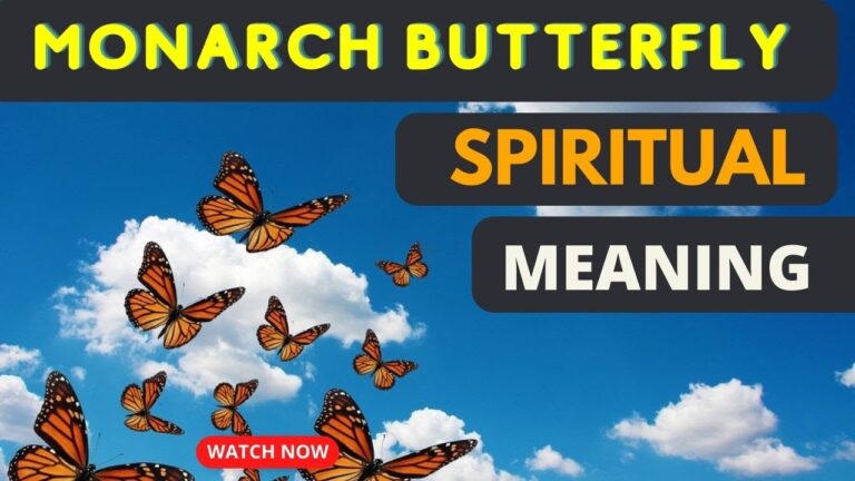 What Do Monarch Butterflies Represent? Transformation and Spiritual Meaning