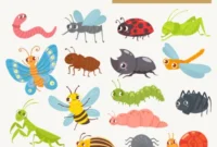 What Do Grey Tree Frogs Eat? Backyard and Terrarium Diets