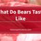 What Do Bears Taste Like? Flavor Comparison and Cooking Tips