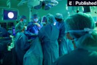 Should Countries Provide Free Healthcare to Immigrants?