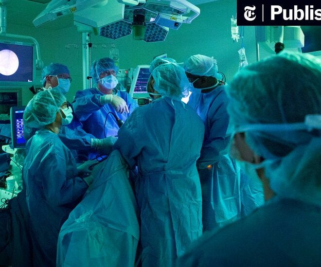 Should Countries Provide Free Healthcare to Immigrants?