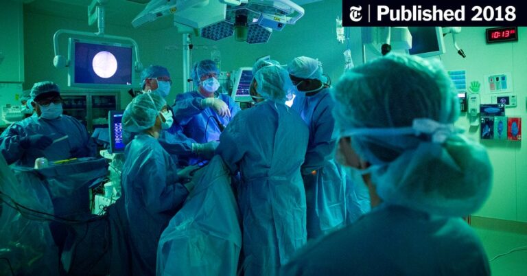 Should Countries Provide Free Healthcare to Immigrants?